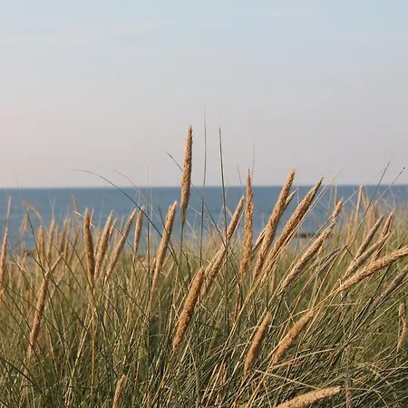 Geraeumige Mit Garten In Zingst, Cleaning Included *
